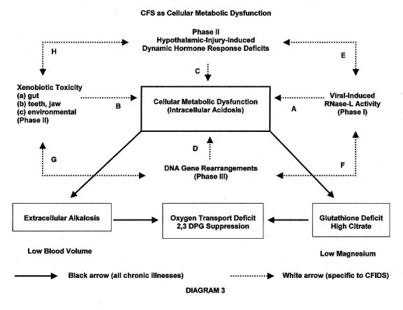 DIAGRAM 3