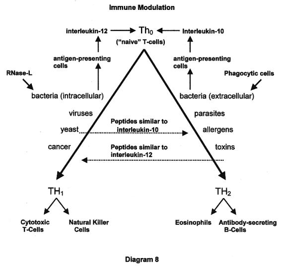 DIAGRAM 8